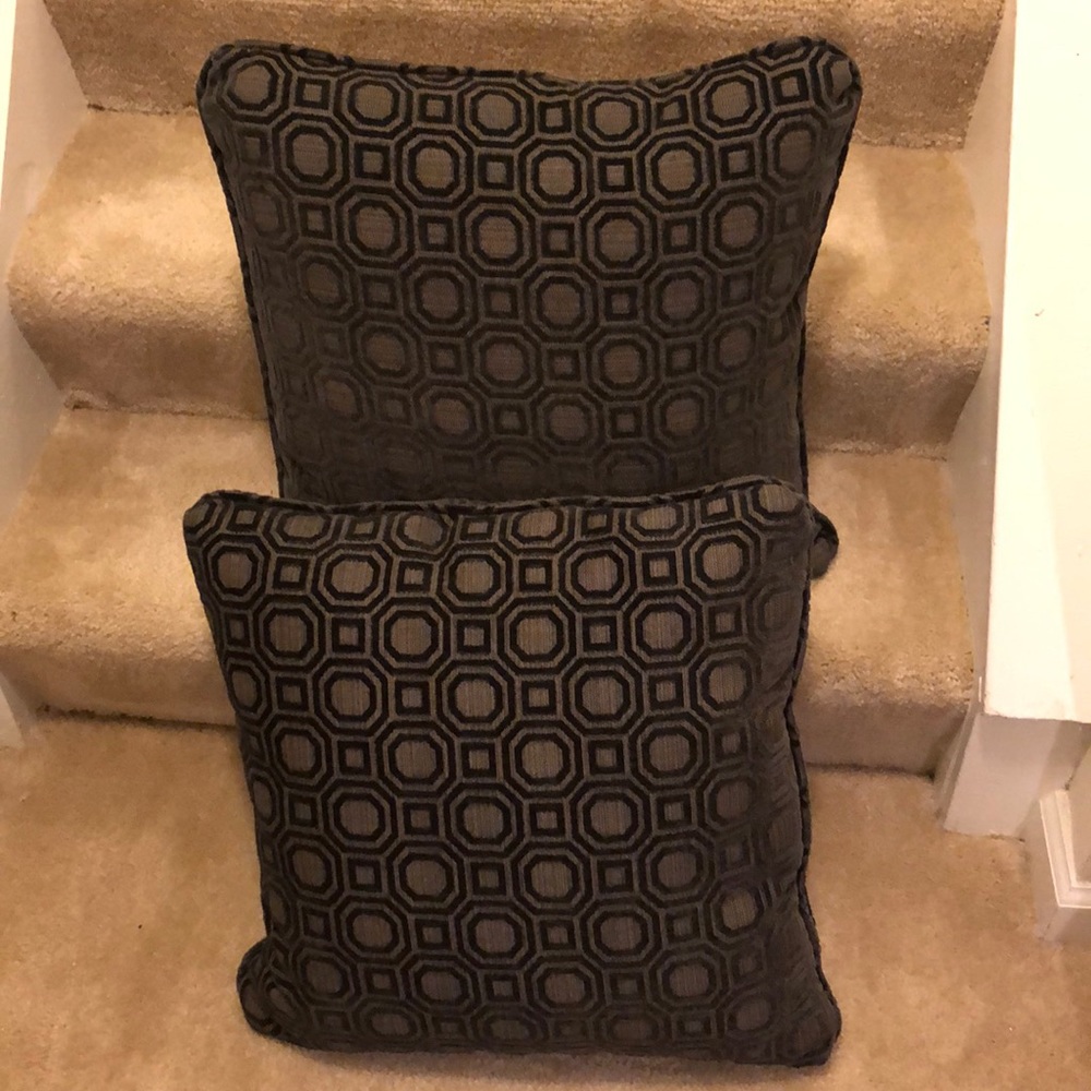 Brand new couch pillows - pair